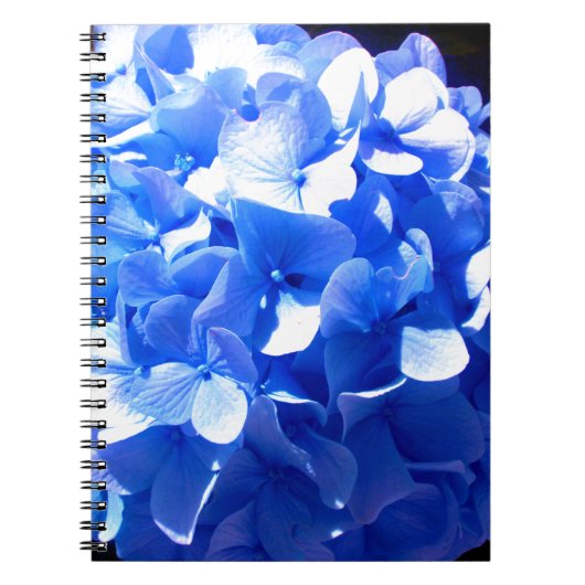 Elegant Cobalt Blau Blumen elegante Hydrangeas Notizblock (Vorderseite)