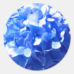 Elegant Cobalt Blau Blumen elegante Hydrangeas Runder Aufkleber