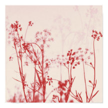 Elegant Coral Red Floral Abstrakt