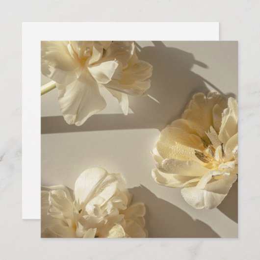 Elegant Cream Tulips in warm light,  Dankeskarte (Vorne/Hinten)
