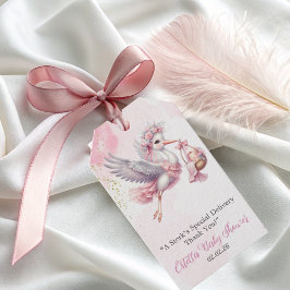 Elegant cute pink Stork Baby Girl Shower  Geschenkanhänger