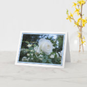 Elegant Daisy Foto Denken Sie an Ihre Sympathy Car Karte (Gelbe Blume)