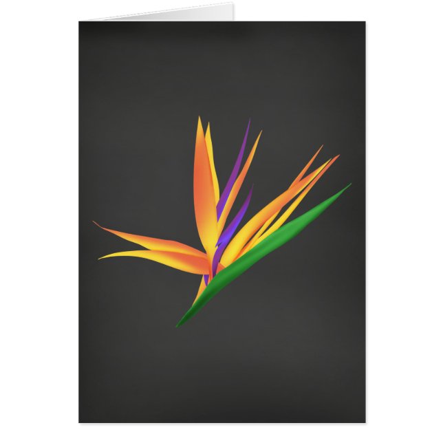 Elegant Danke für Ihr Beileid (Vorne)