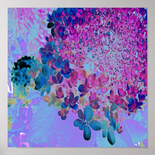 Elegant Dark Blue und Magenta Limelight Hydrangea Poster (Vorne)