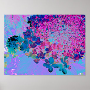 Elegant Dark Blue und Magenta Limelight Hydrangea Poster