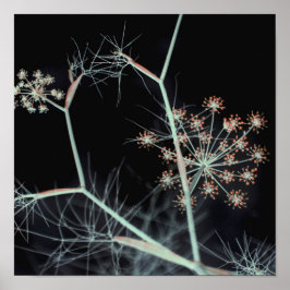 Elegant Dark Floral Abstrakt Poster