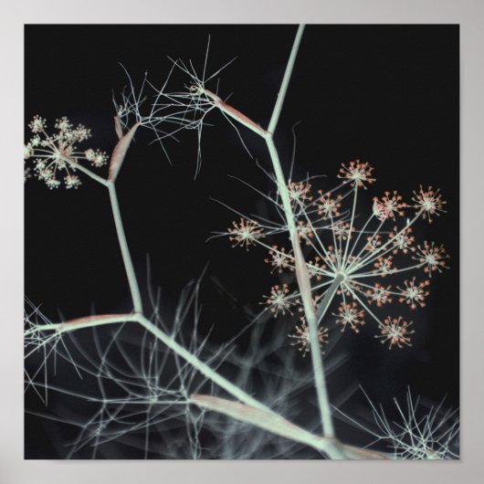 Elegant Dark Floral Abstrakt Poster (Vorne)