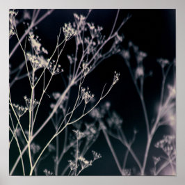 Elegant Dark Floral Abstrakt Poster