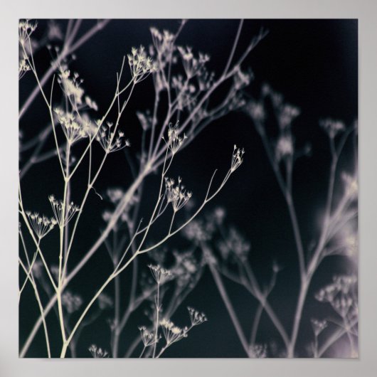 Elegant Dark Floral Abstrakt Poster (Vorne)