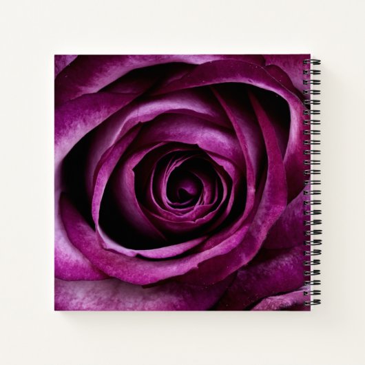 Elegant Dark Purple Rose Notizblock (Rückseite)