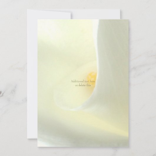 Elegant, das wir dem nicht-blumigen Elopement verw Einladung (Rückseite)