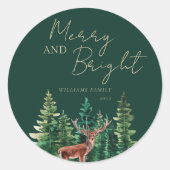 Elegant Deer Christmas Family Name Runder Aufkleber (Vorderseite)