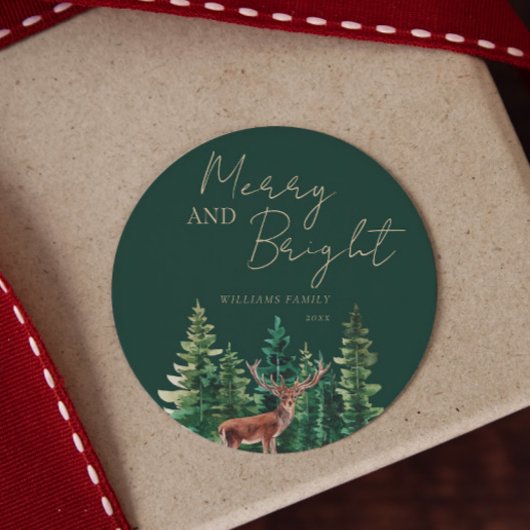Elegant Deer Christmas Family Name Runder Aufkleber