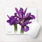Elegant Dutch Iris Lila Sensation Blume Mousepad (Mit Mouse)