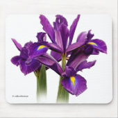 Elegant Dutch Iris Lila Sensation Blume Mousepad (Vorne)