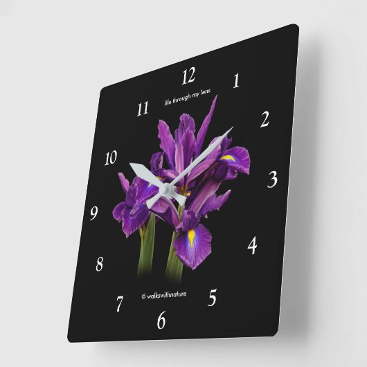 Elegant Dutch Iris Lila Sensation Blume Quadratische Wanduhr (Winkel)