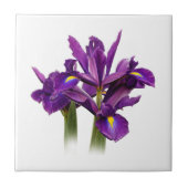 Elegant Dutch Iris Lila Sensation Fliese (Vorderseite)