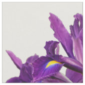 Elegant Dutch Iris Lila Sensation Stoff (Nahaufnahme)