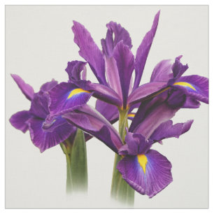 Elegant Dutch Iris Lila Sensation Stoff