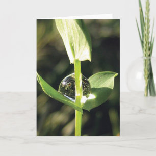 Elegant, einfach, eng mit Taubennatur Karte