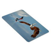 Elegant Elephant Eagle Magnet (Rechte Seite)