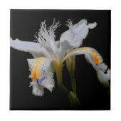 Elegant Floral Crested Shaga Japanisch Iris Fliese (Vorderseite)