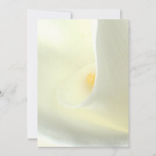 Elegant Floral White Calla Lily Save the Date Einladung (Rückseite)