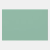 Elegant gefallenes Salbei Minimalistisch und elega Geschenkpapier Set (Vorderseite 2)