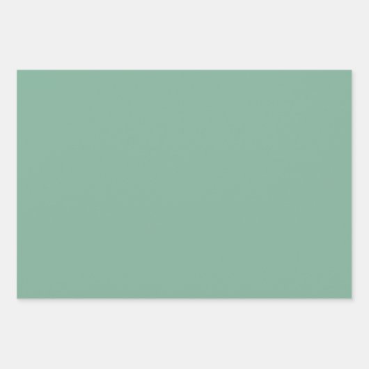 Elegant gefallenes Salbei Minimalistisch und elega Geschenkpapier Set (Vorderseite)