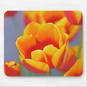 Elegant Gelb und Rot Tulip Mousepad (Vorne)