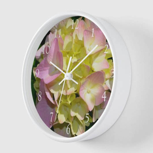 Elegant-gelbe, rosa grüne, blumengrüne Hydrangeas Uhr (Winkel)