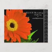 Elegant Gerber Daisy Wedding Einladung (Rückseite)