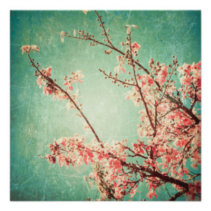 Elegant getragenes Vintage Teal Holz & Kirschblüte Poster
