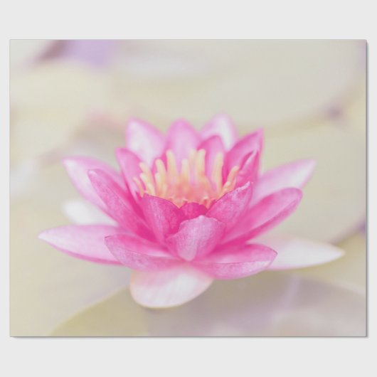Elegant Gold Lotus, Yoga Geschenkpapier (Flach)