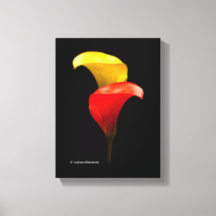 Elegant Gold und Crimson Calla Lilies Leinwanddruck