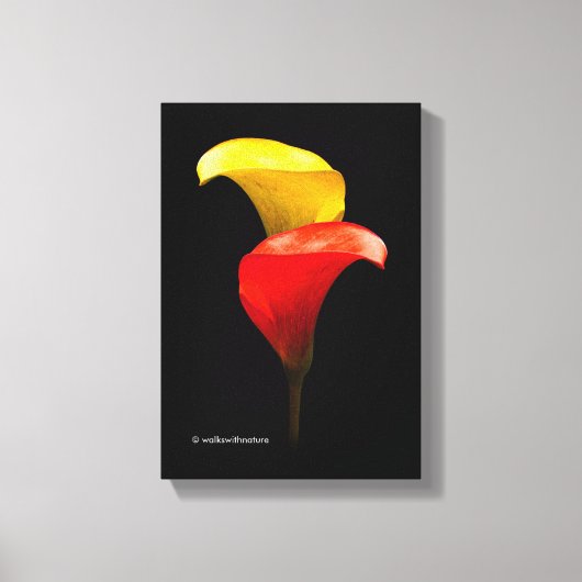 Elegant Gold und Crimson Calla Lilies Leinwanddruck (Vorderseite)