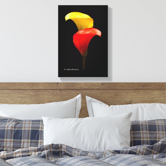 Elegant Gold und Crimson Calla Lilies Leinwanddruck (Insitu (Schlafzimmer))
