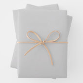 Elegant, grau Minimalistisch und elegant Geschenkpapier Set (Beispiel)