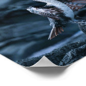 Elegant Great Cormorant Bird Poster (Ecke)