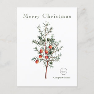 Elegant Grüne Weihnachtsberries Feiertagspostkarte