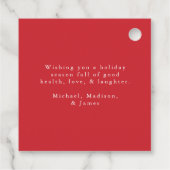 Elegant Holly Berries and Pine Cones Christmas Geschenkanhänger (Rückseite)