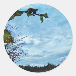 Elegant Holly Christmas, blauer Himmel Runder Aufkleber