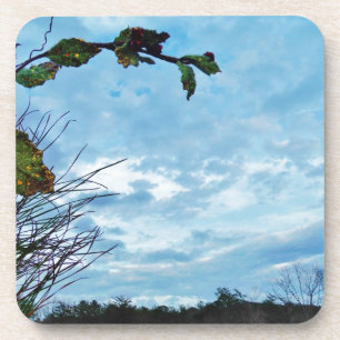 Elegant Holly Christmas, blauer Himmel Untersetzer