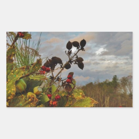 Elegant Holly Christmas Rechteckiger Aufkleber (Vorderseite)