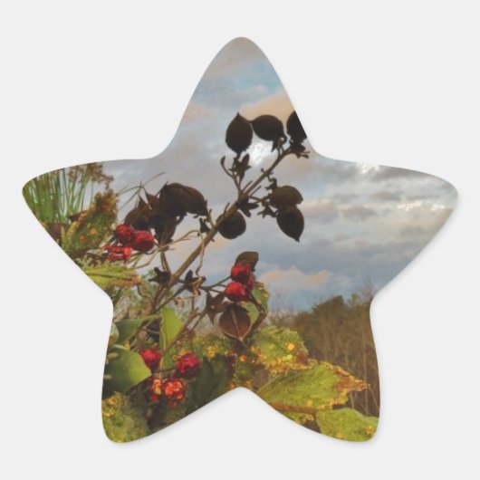 Elegant Holly Christmas Stern-Aufkleber (Vorderseite)