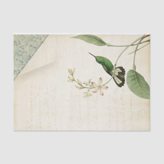 Elegant Hummingbird Ephemera Seidenpapier (Vorderseite)