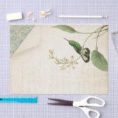 Elegant Hummingbird Ephemera Seidenpapier (Handwerk)