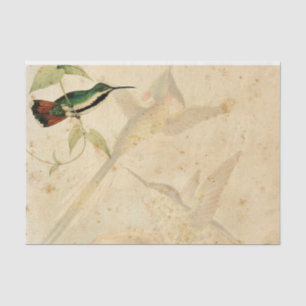 Elegant Hummingbird Seidenpapier