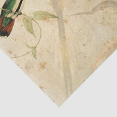 Elegant Hummingbird Seidenpapier (Ausschnitt)