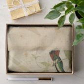 Elegant Hummingbird Seidenpapier (Geschenk)